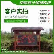 去公園吸氧，看看負氧離子在線監測儀！